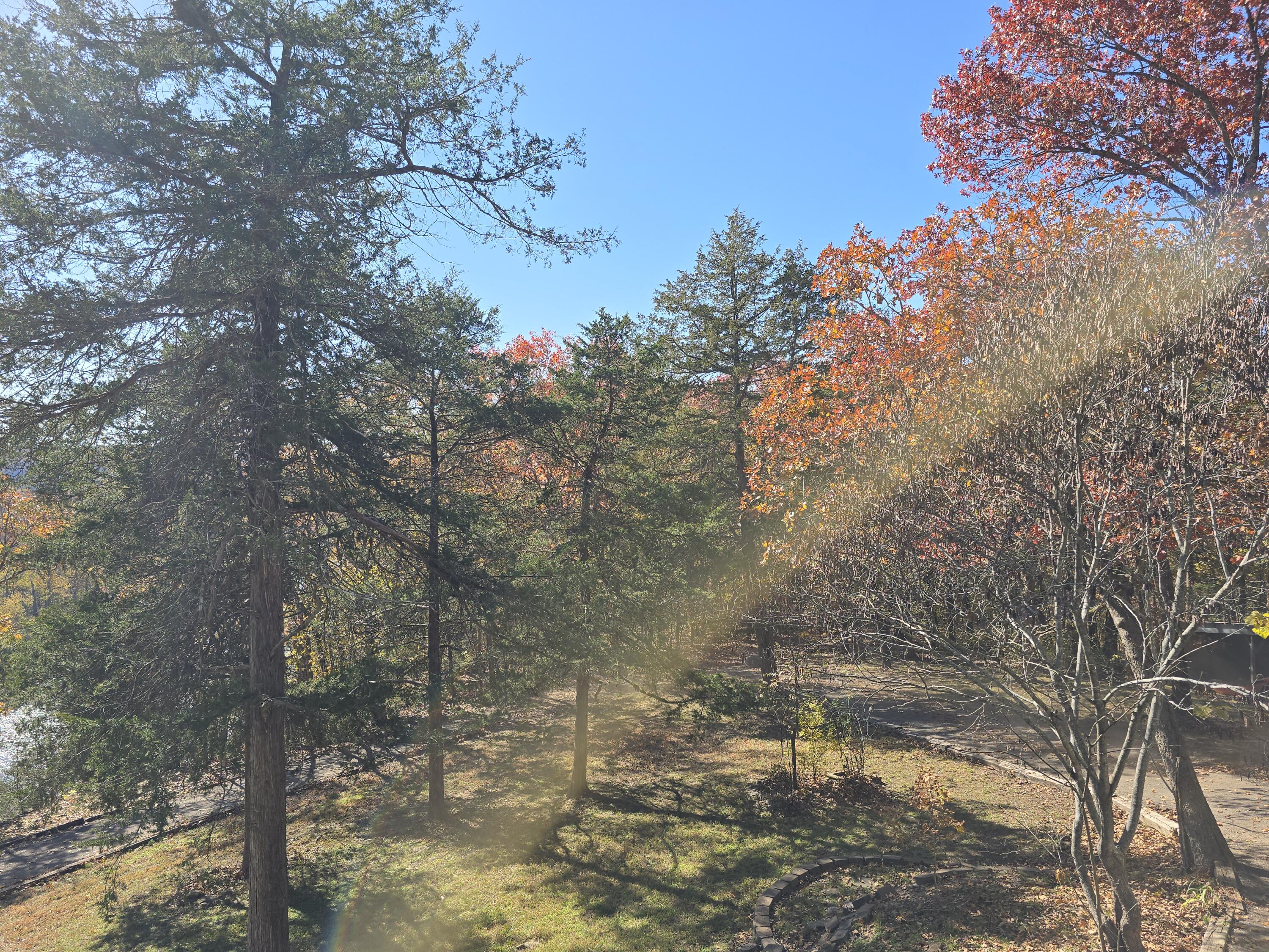 512 Dry Creek Drive Property Photo 13