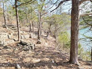 512 Dry Creek Drive Property Photo 69