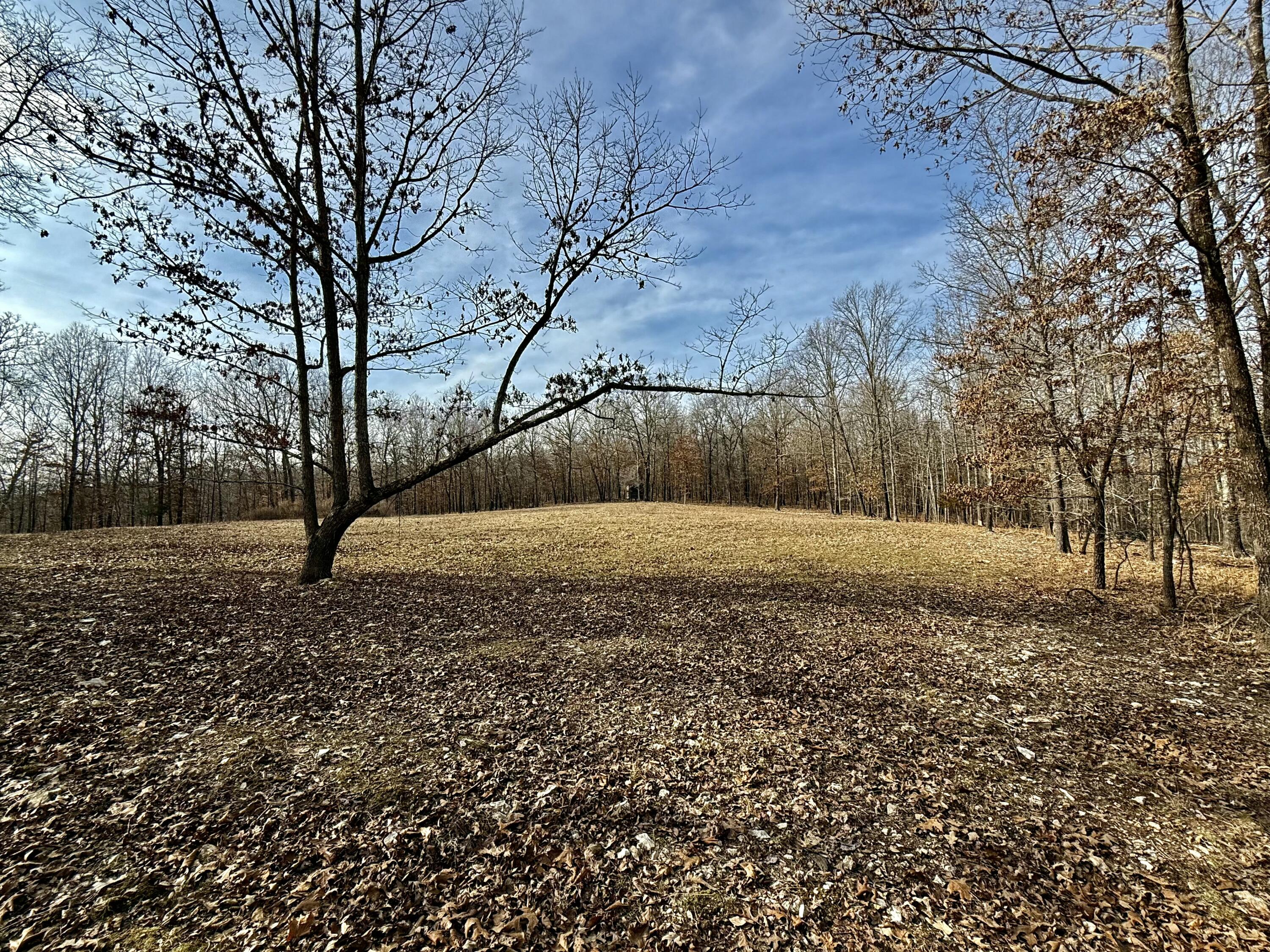 2112 County Road 348 Property Photo 4