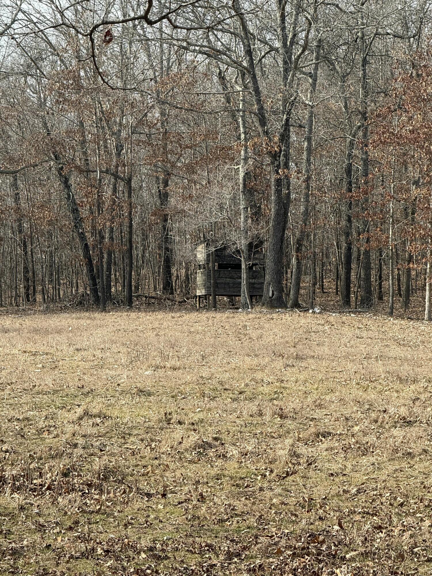 2112 County Road 348 Property Photo 5