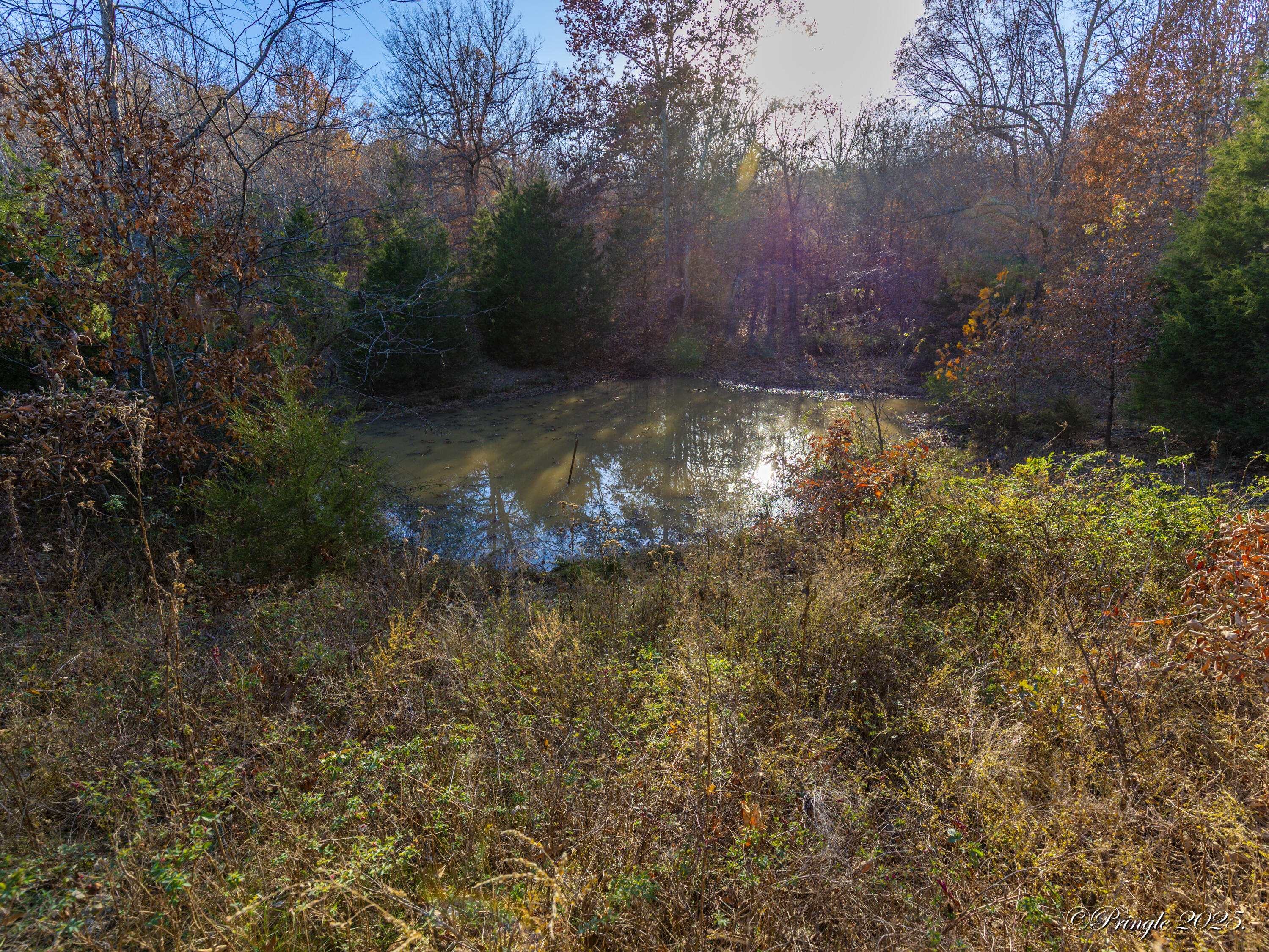 2112 County Road 348 Property Photo 6