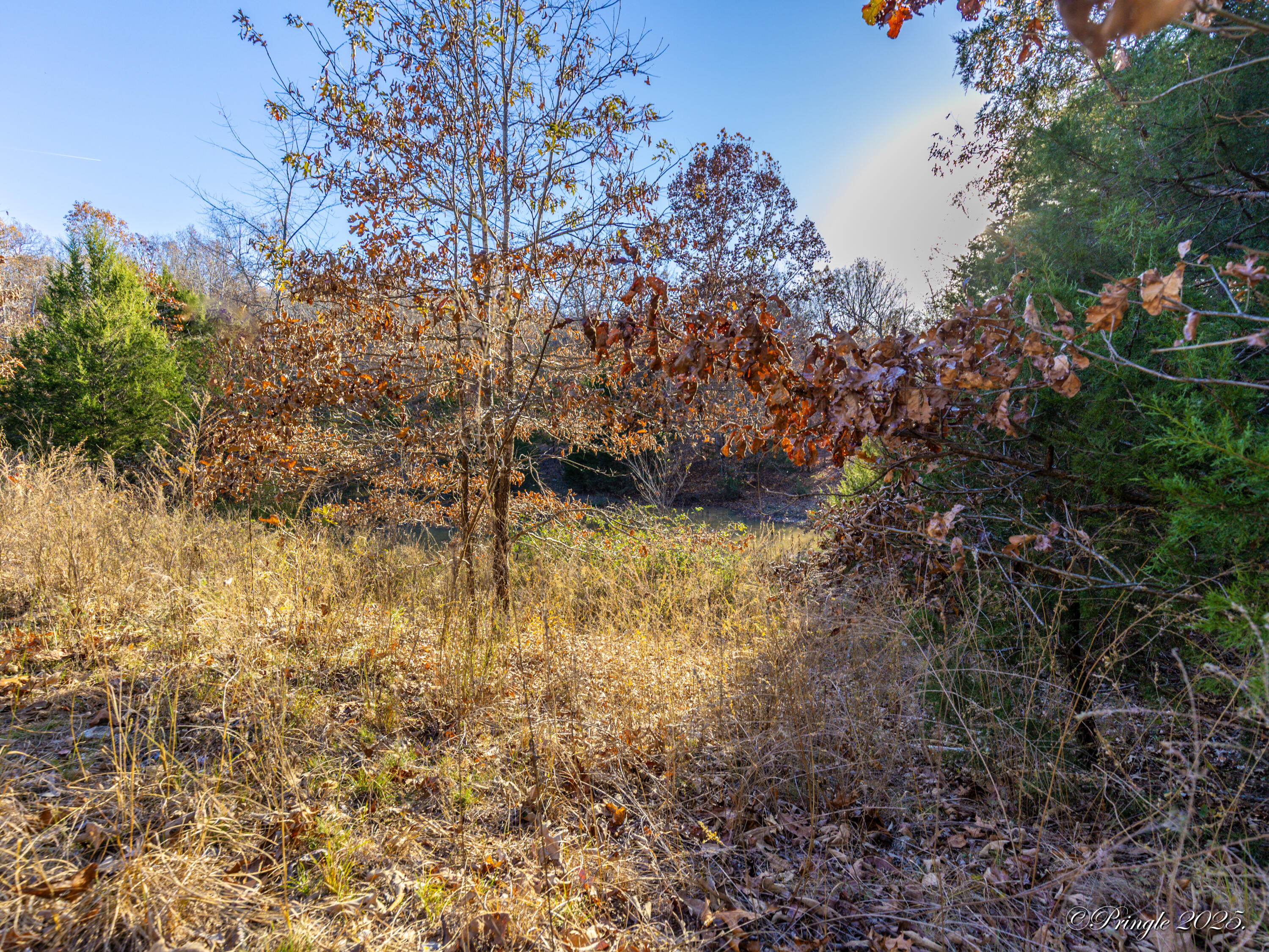 2112 County Road 348 Property Photo 7