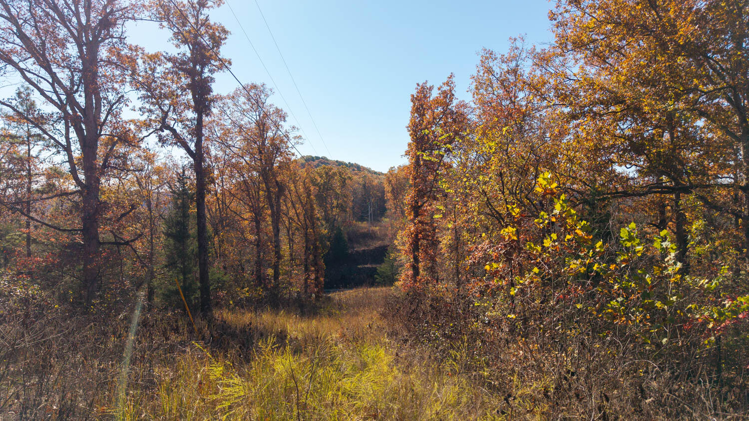 000 State Highway 14-181 Property Photo 7