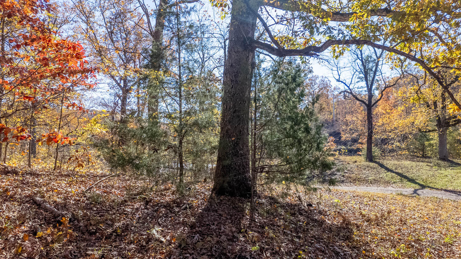 000 State Highway 14-181 Property Photo 18