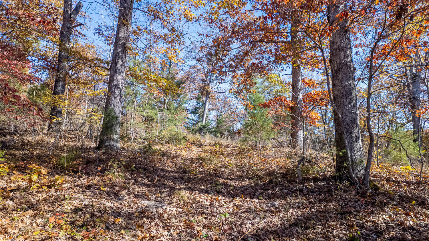 000 State Highway 14-181 Property Photo 19