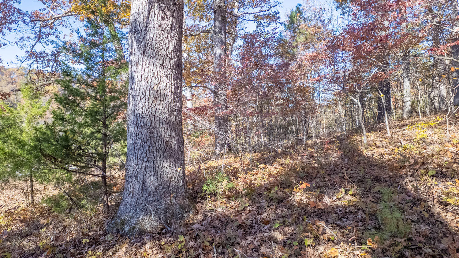 000 State Highway 14-181 Property Photo 21