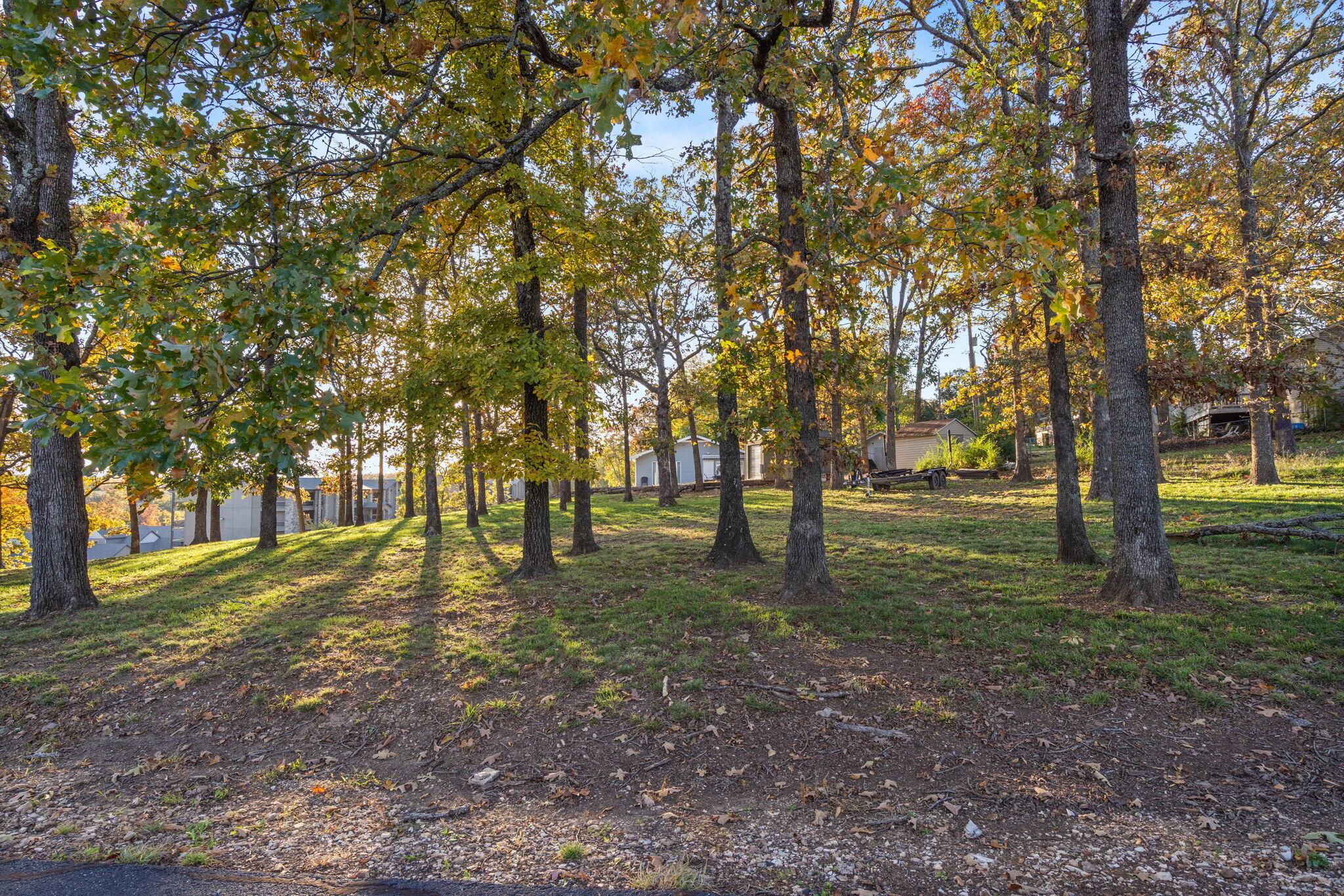 Tbd Locust Lane Property Photo 21