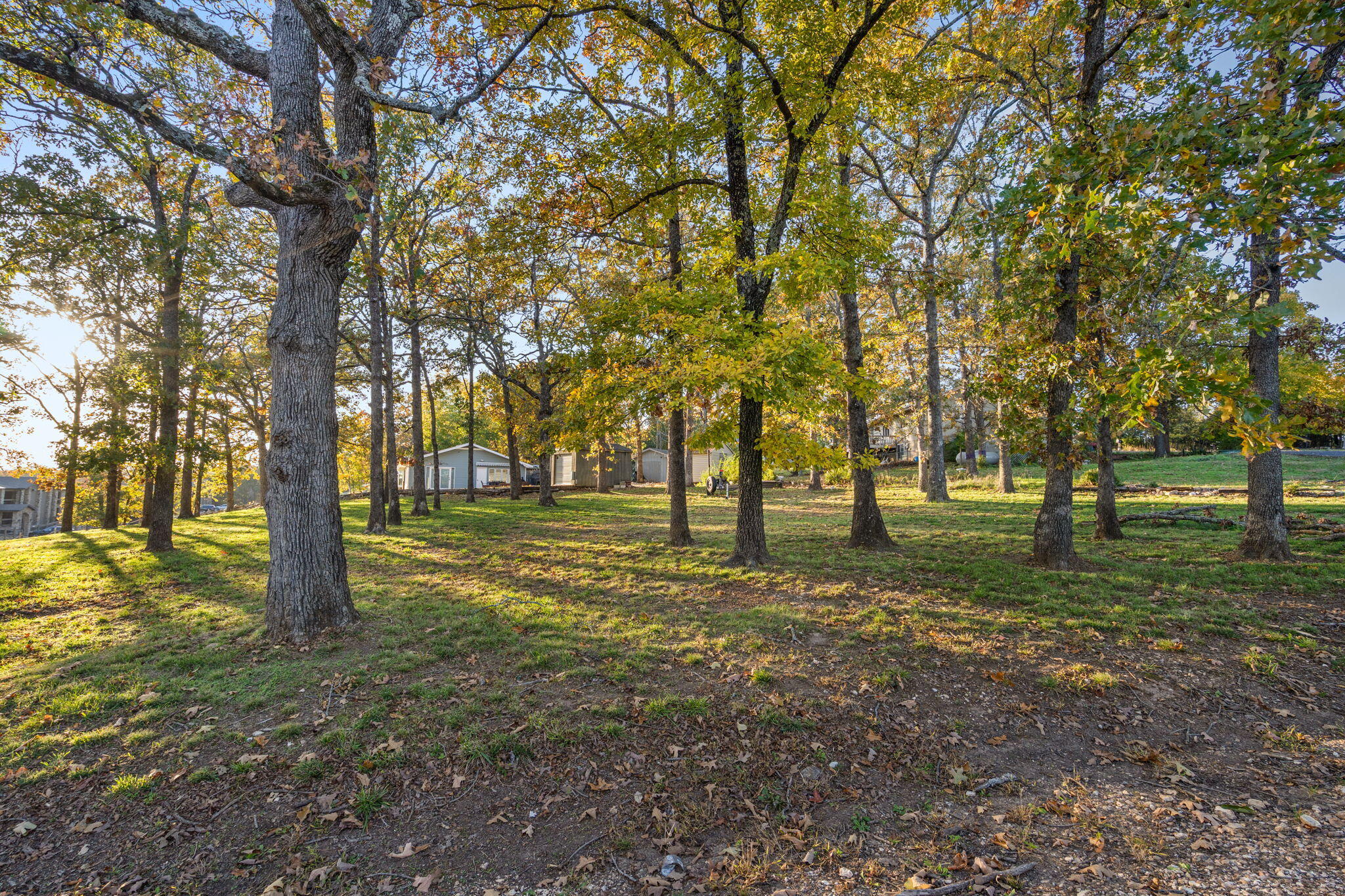 Tbd Locust Lane Property Photo 23