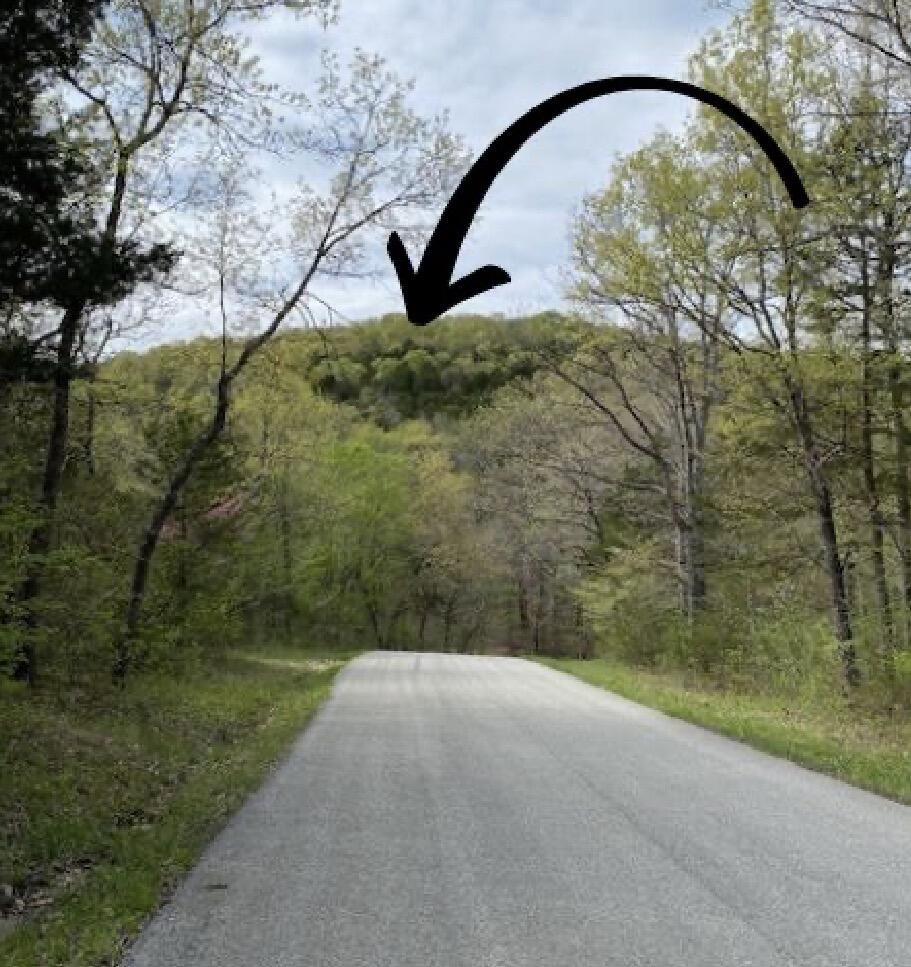 479 Split Rail Pass Lt. 2 Property Photo 3