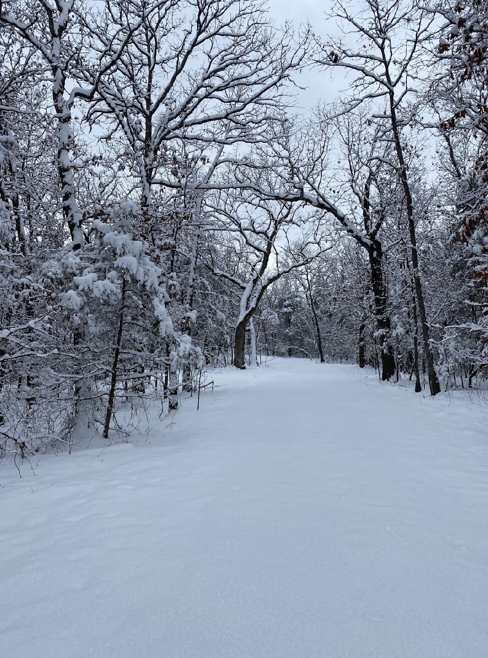 479 Split Rail Pass Lt. 2 Property Photo 17