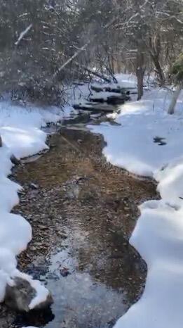 479 Split Rail Pass Lt. 2 Property Photo 18