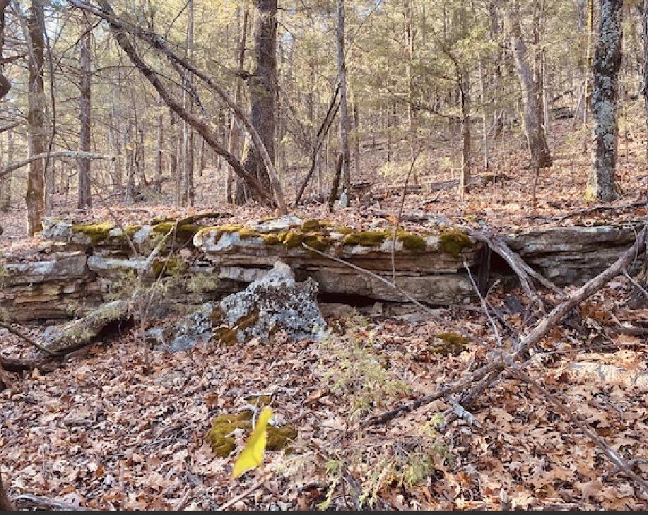 479 Split Rail Pass Lt. 2 Property Photo 22