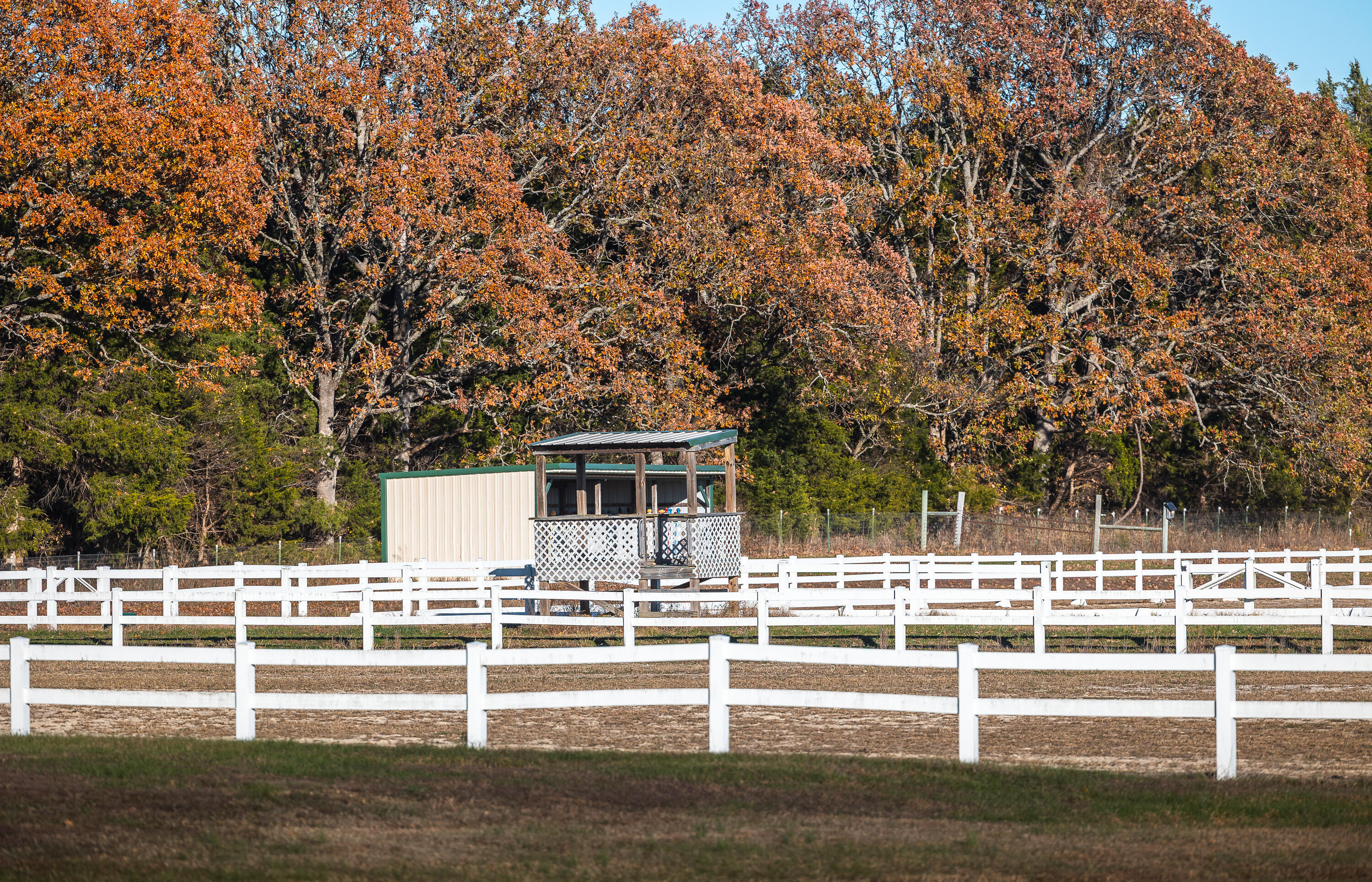 17265 County Road 8280 Property Photo 8