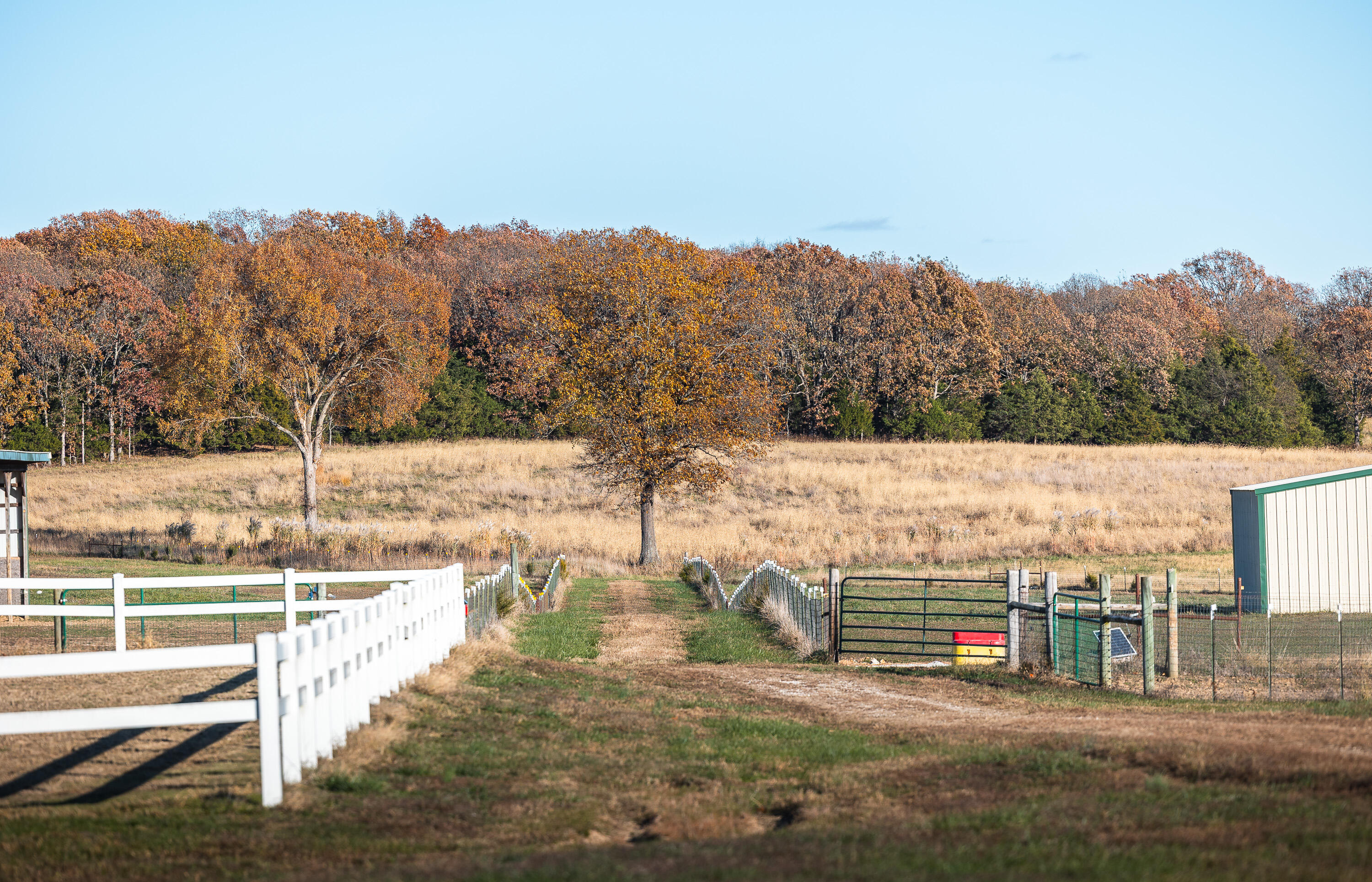 17265 County Road 8280 Property Photo 9