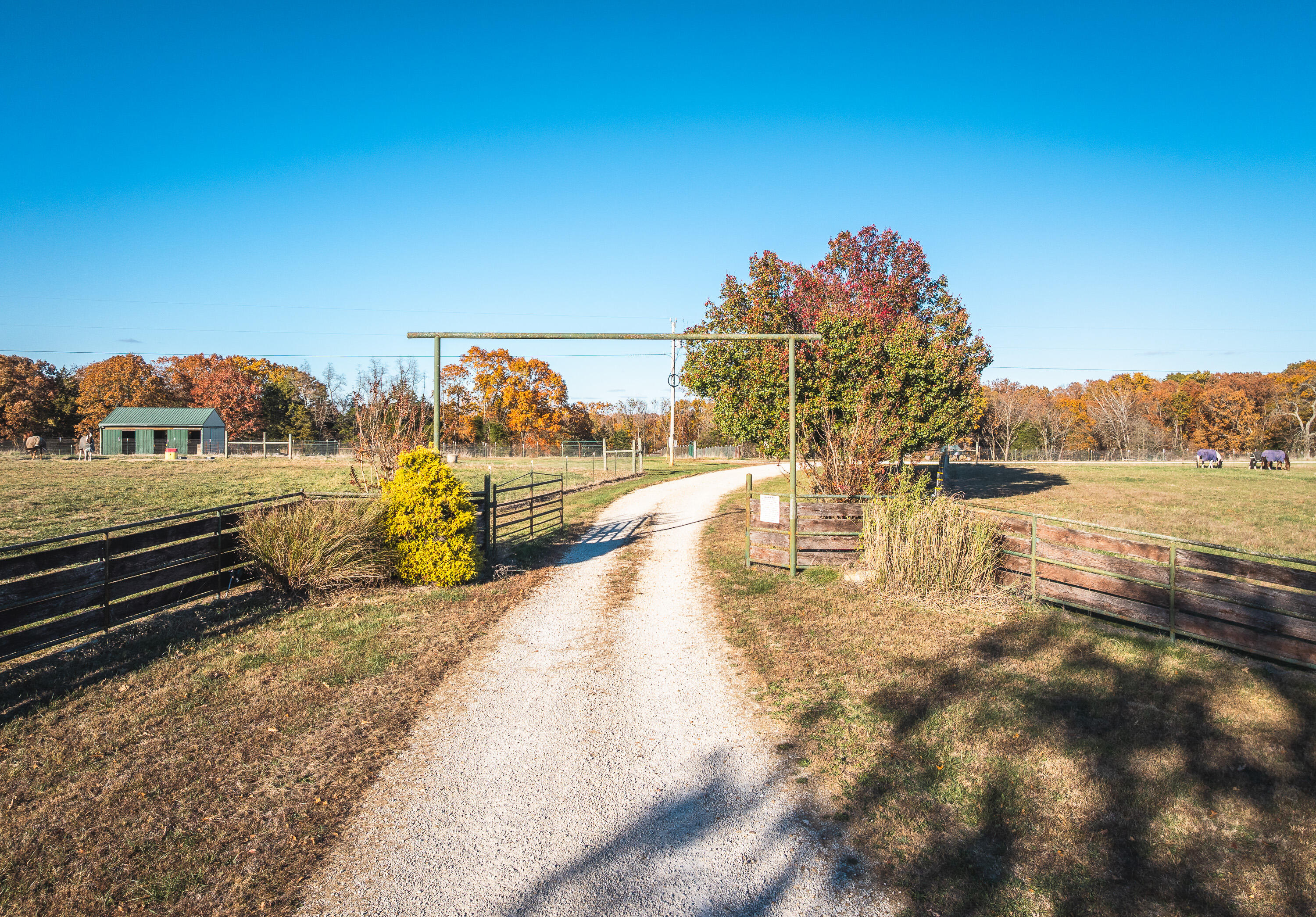 17265 County Road 8280 Property Photo 49