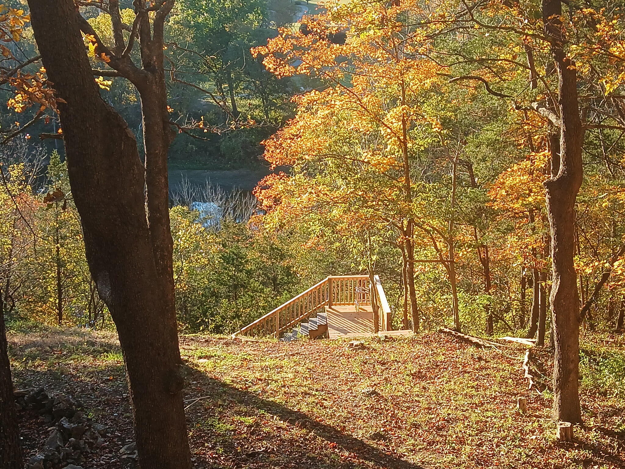 704 Iowa Colony Road Property Photo 42