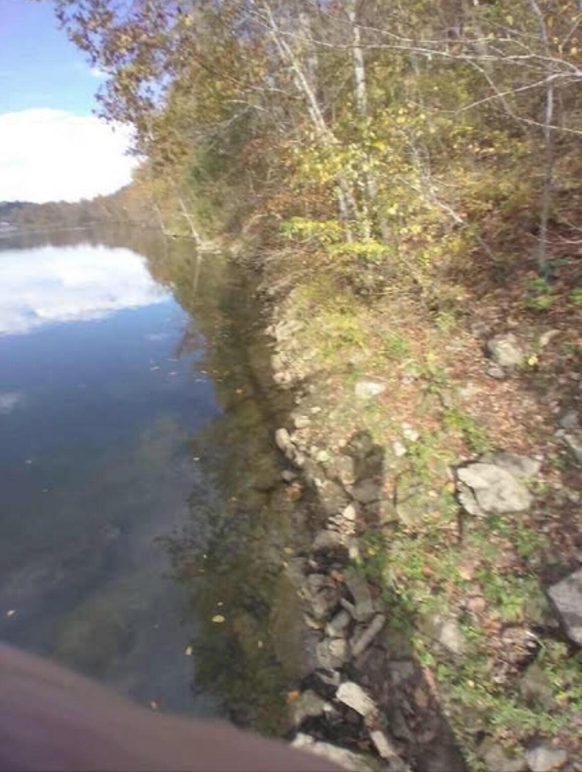 704 Iowa Colony Road Property Photo 46