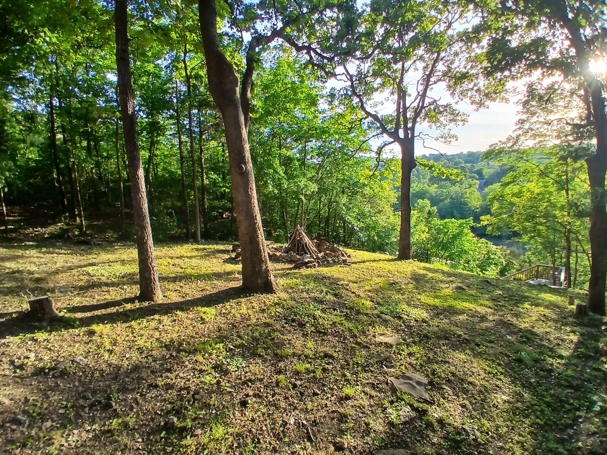704 Iowa Colony Road Property Photo 48