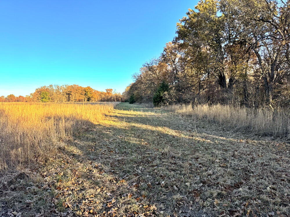 Tbd South 525 Road Property Photo 7