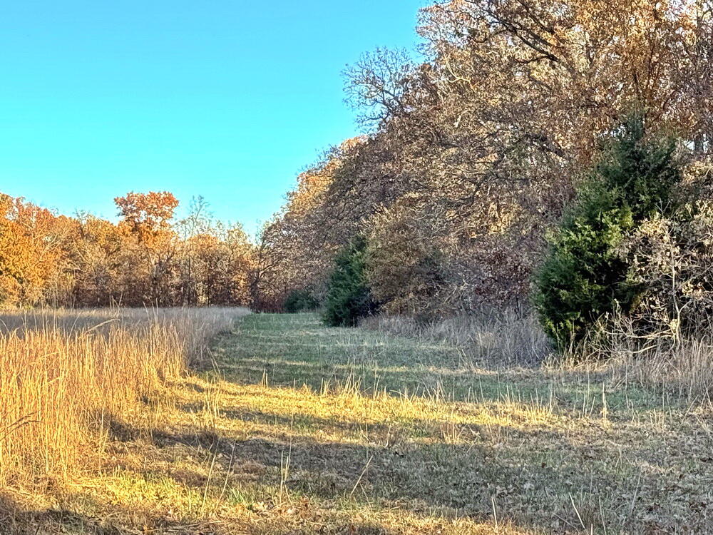 Tbd South 525 Road Property Photo 8