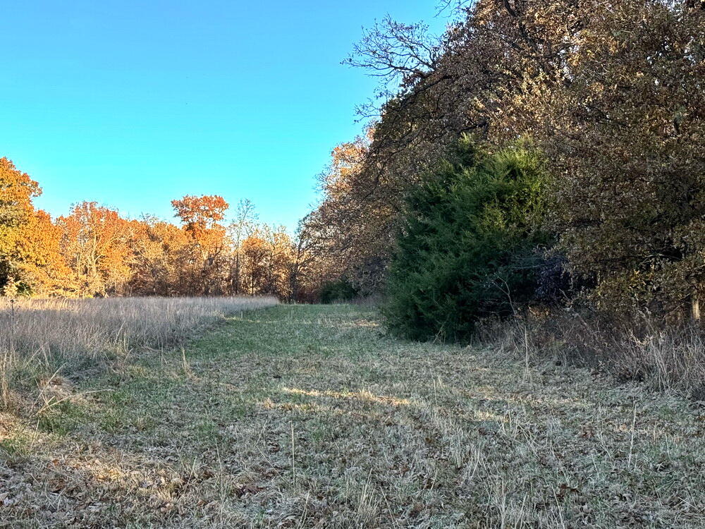 Tbd South 525 Road Property Photo 9