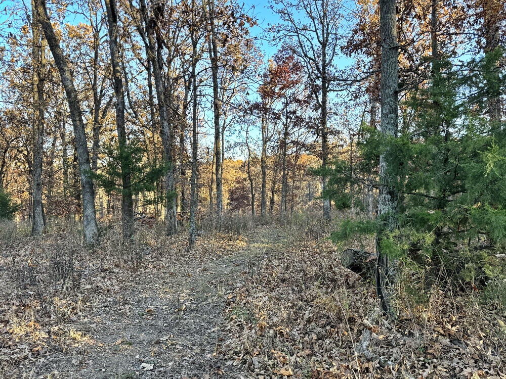 Tbd South 525 Road Property Photo 11