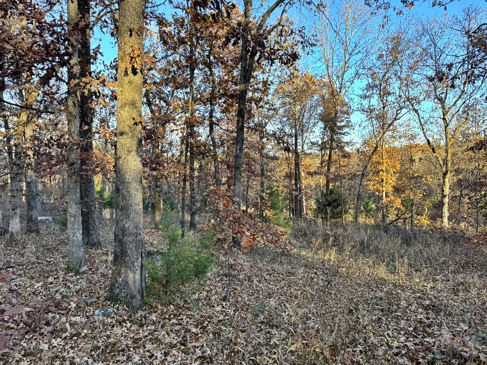 Tbd South 525 Road Property Photo 12