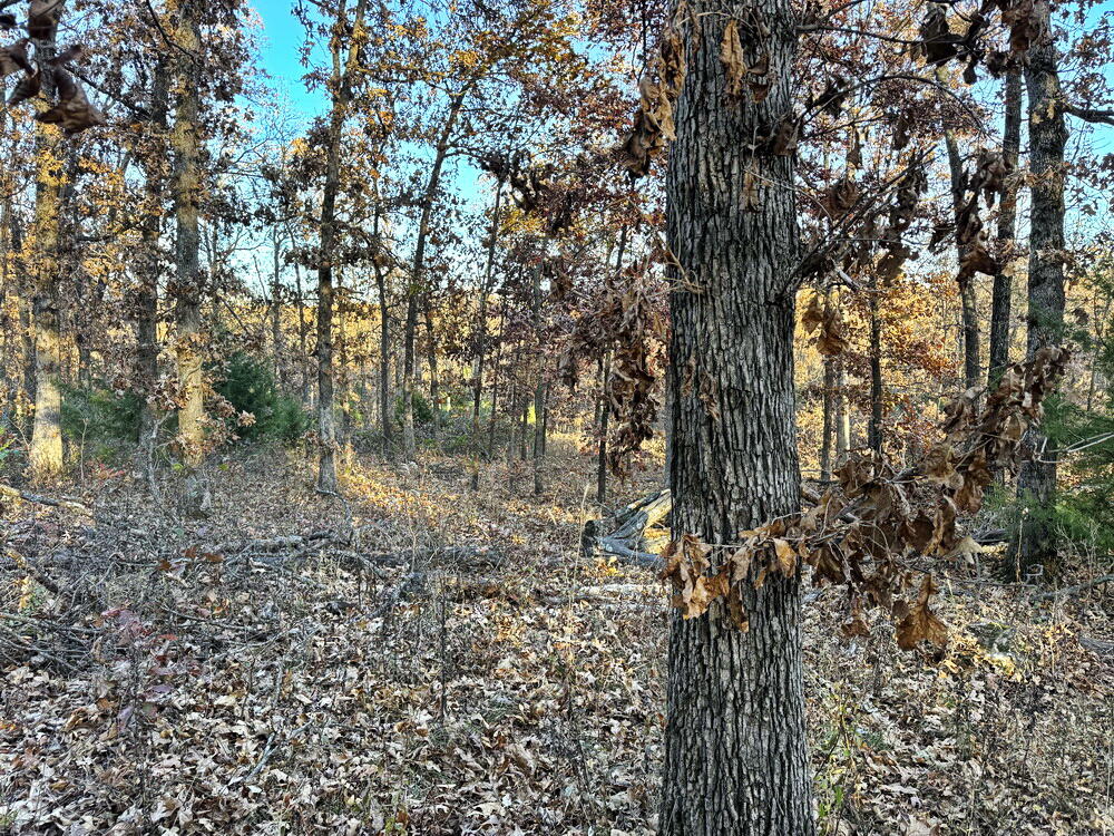 Tbd South 525 Road Property Photo 13