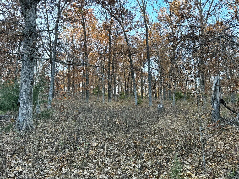 Tbd South 525 Road Property Photo 16