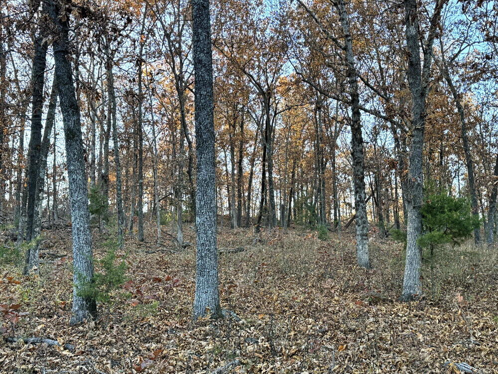 Tbd South 525 Road Property Photo 17