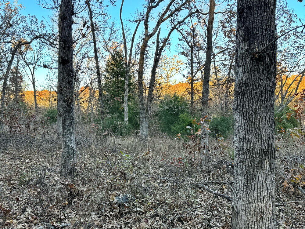 Tbd South 525 Road Property Photo 18