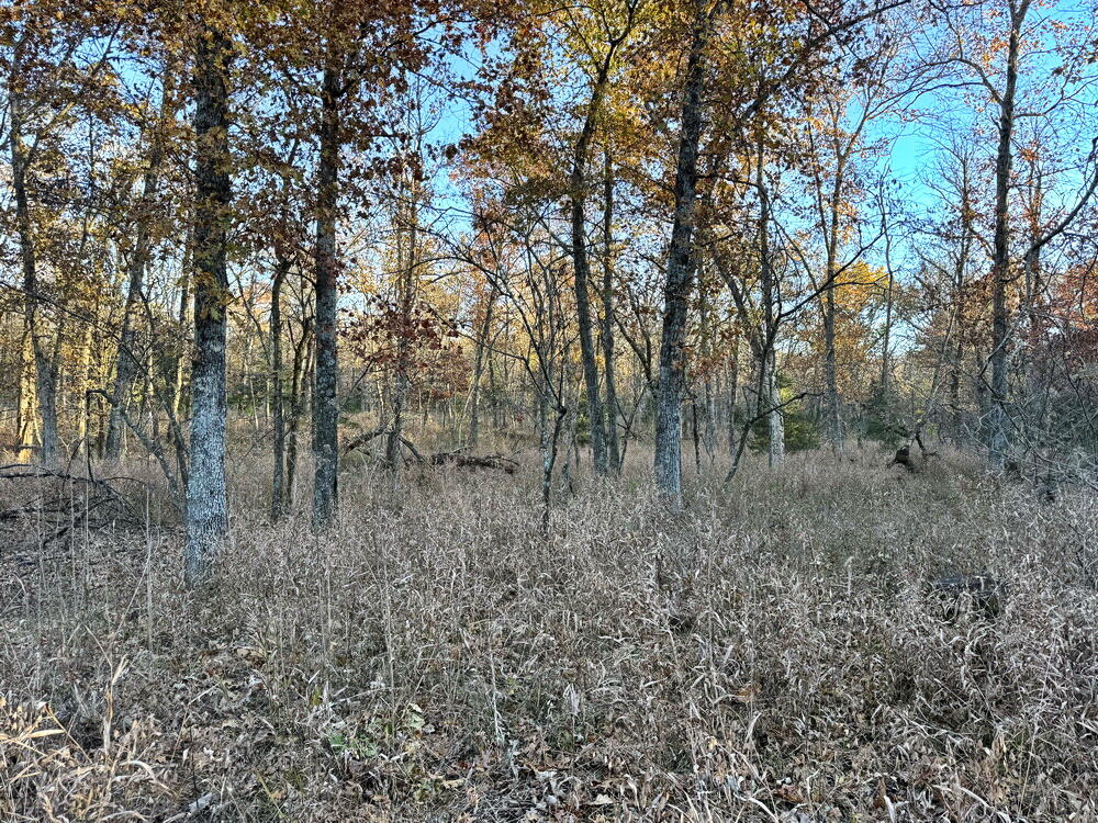 Tbd South 525 Road Property Photo 19
