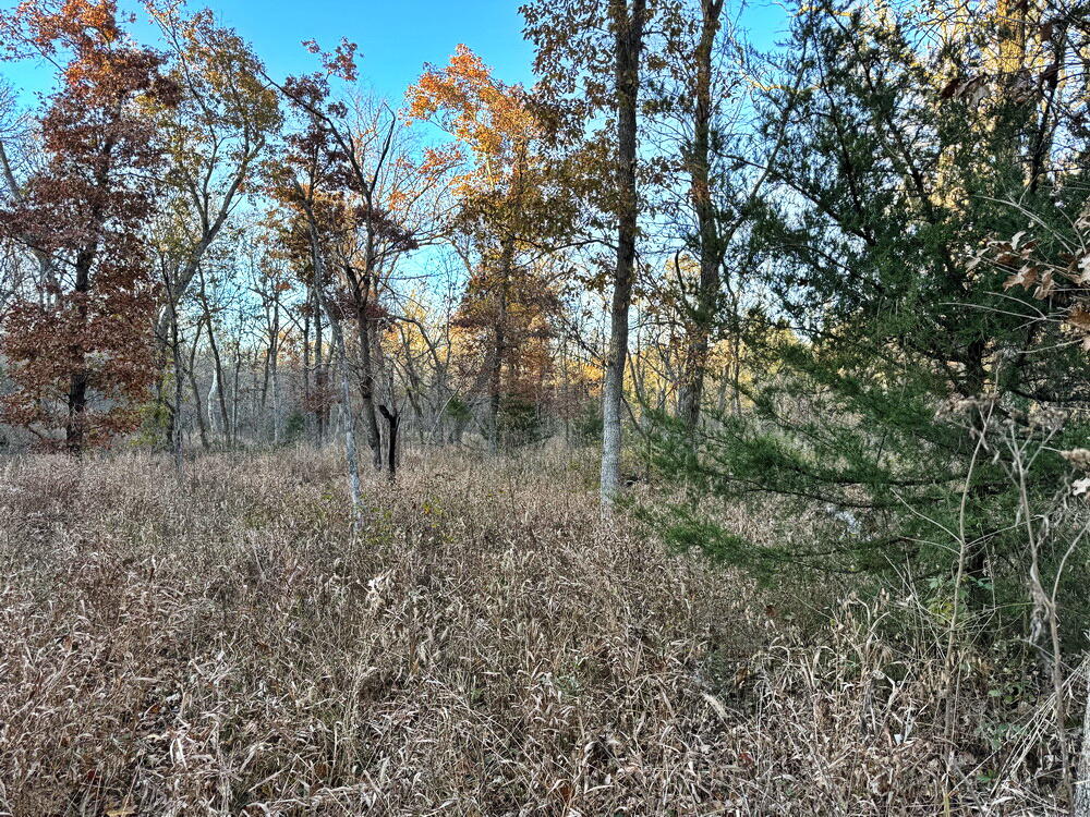Tbd South 525 Road Property Photo 20