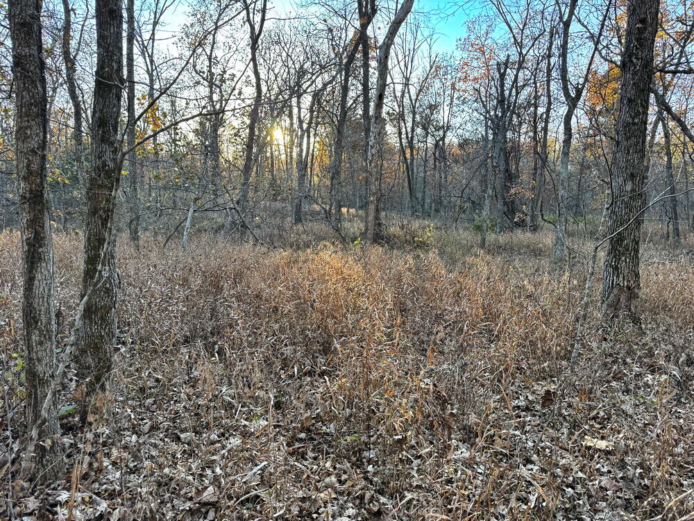 Tbd South 525 Road Property Photo 21
