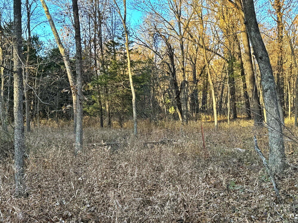Tbd South 525 Road Property Photo 22