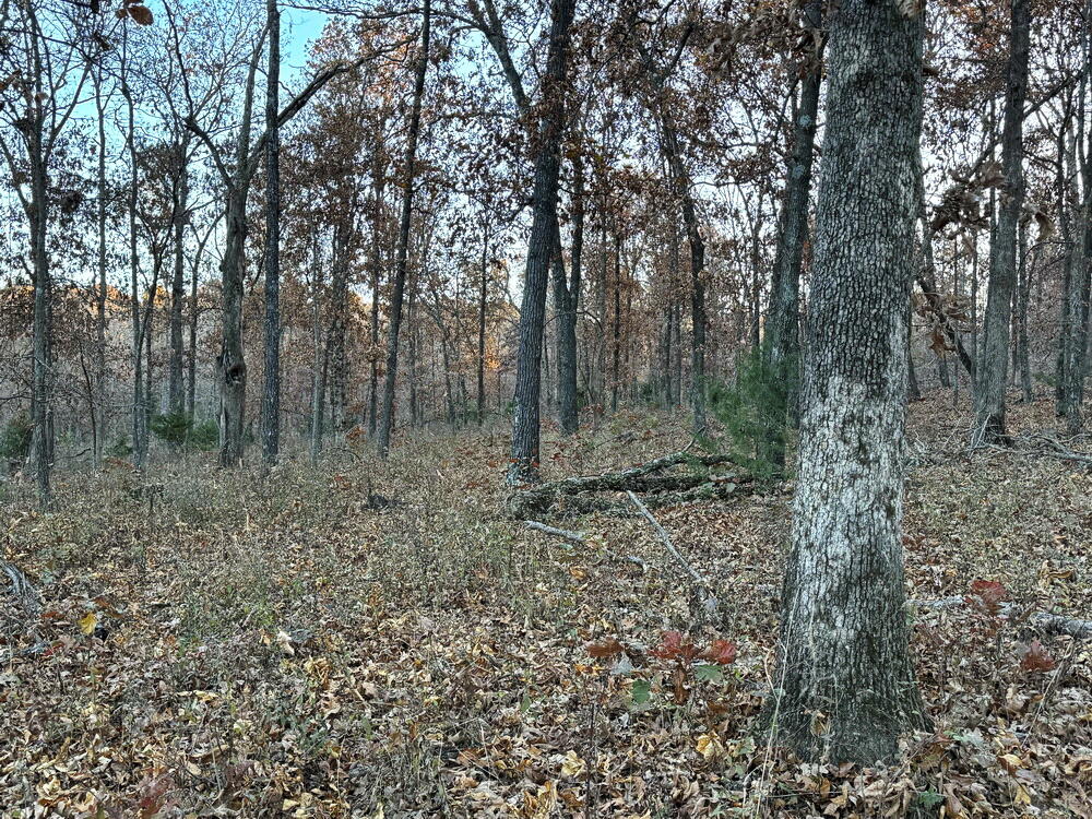 Tbd South 525 Road Property Photo 23