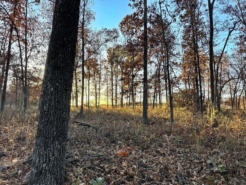 Tbd South 525 Road Property Photo 24