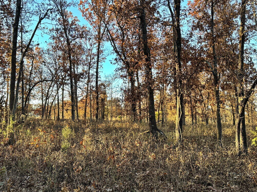 Tbd South 525 Road Property Photo 25
