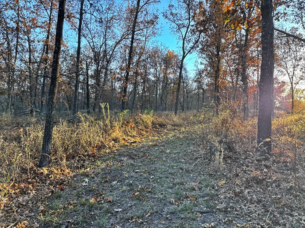 Tbd South 525 Road Property Photo 26
