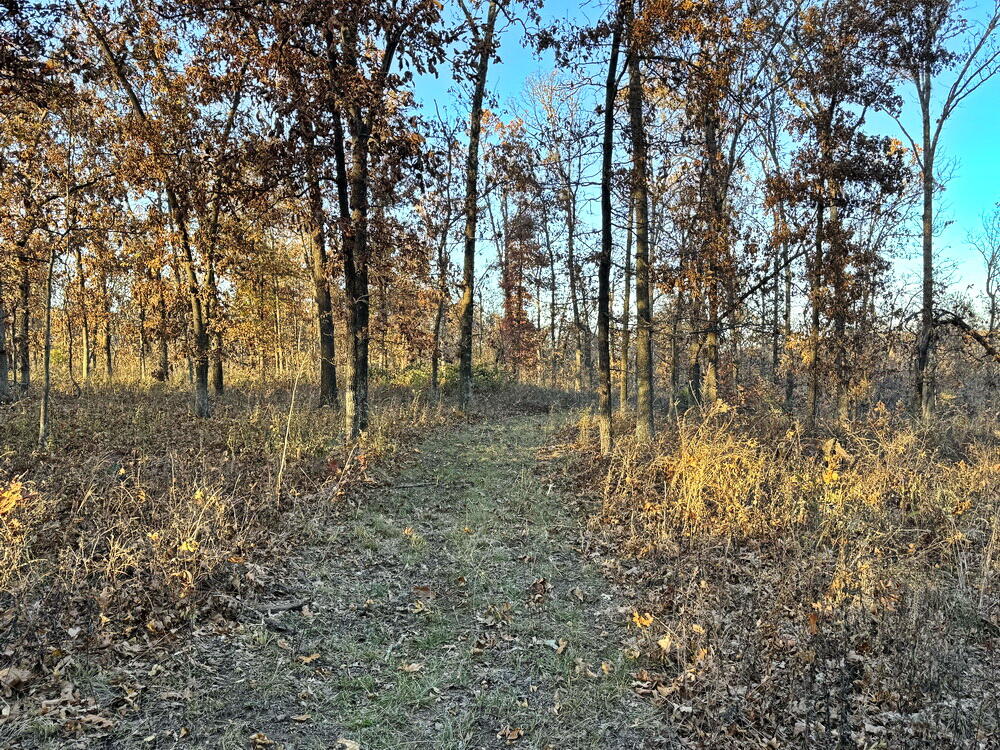 Tbd South 525 Road Property Photo 27
