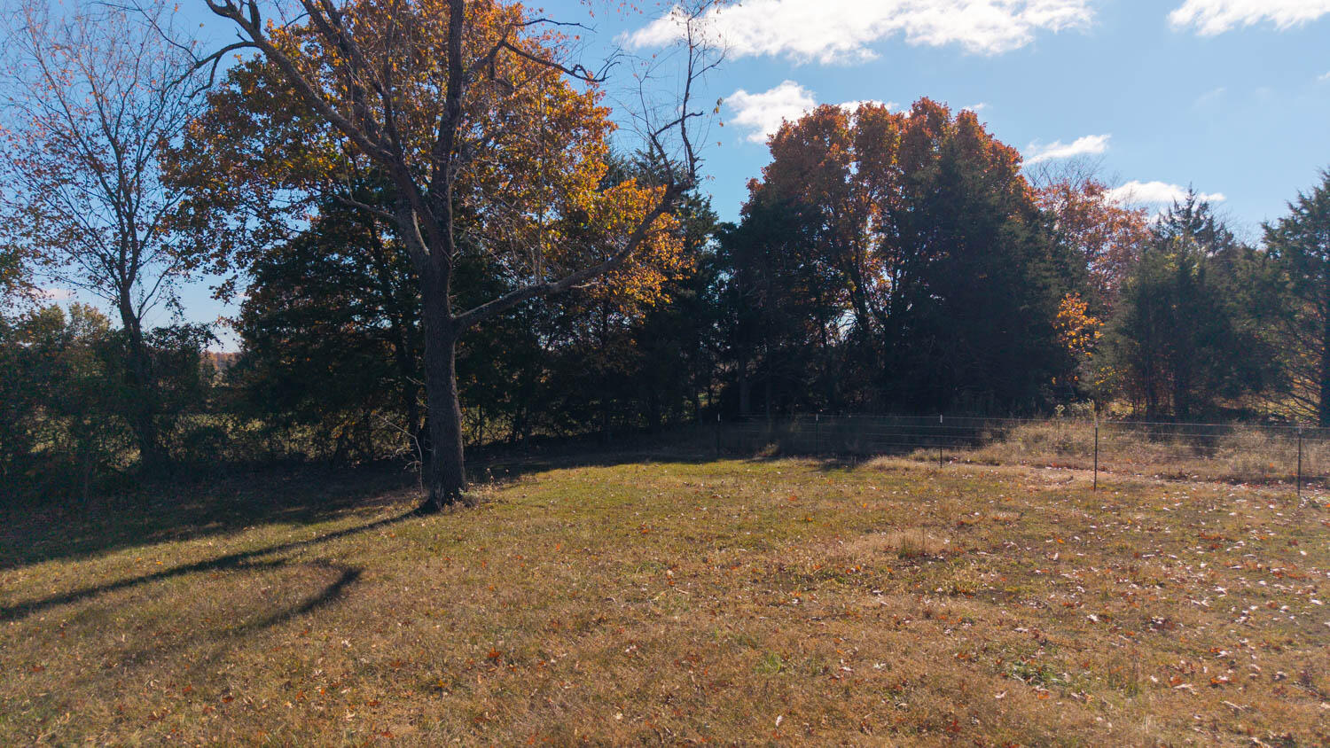12030 Missouri 101 Property Photo 77
