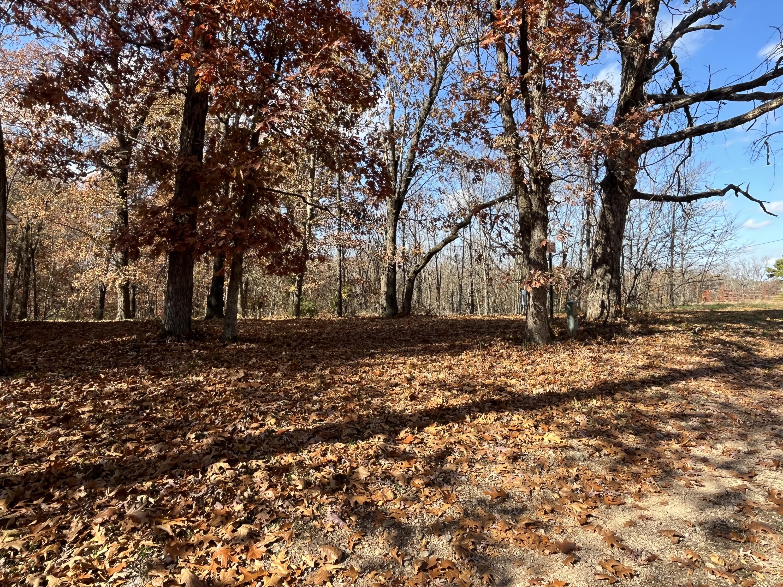 371 Post Oak Road Property Photo 15