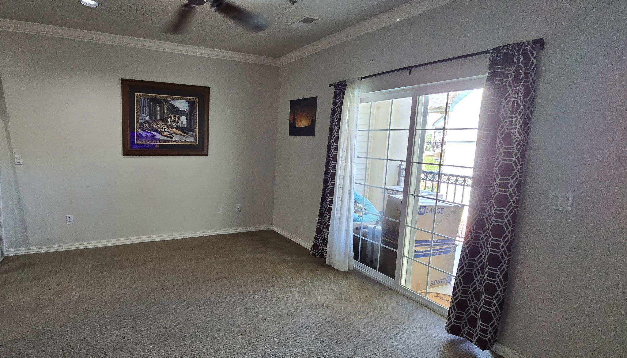 3830 Green Mountain Drive 202 Property Photo 3