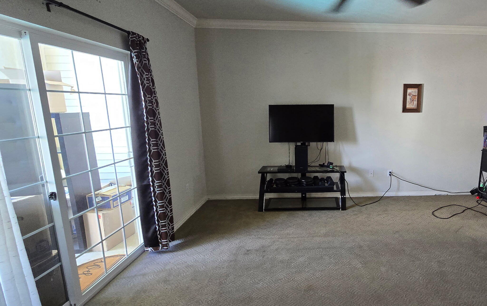 3830 Green Mountain Drive 202 Property Photo 4
