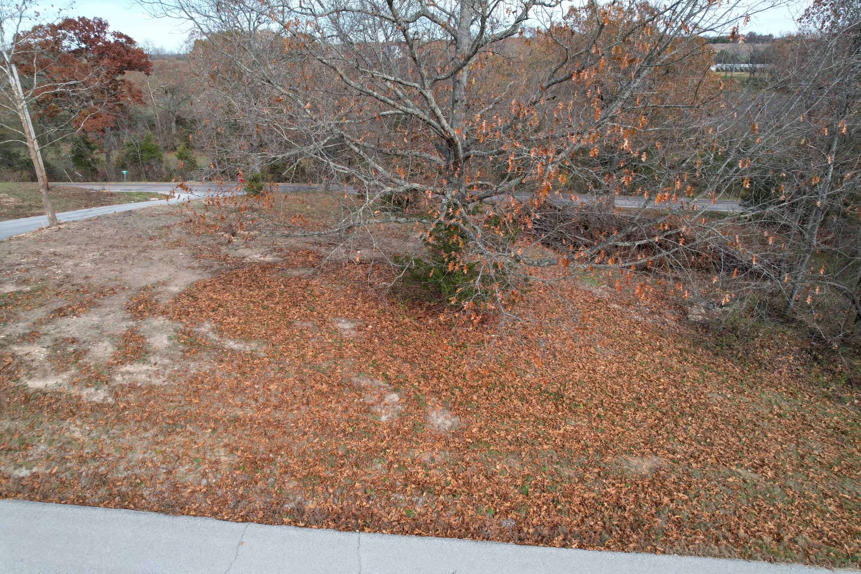 000 Rodeo Property Photo 7