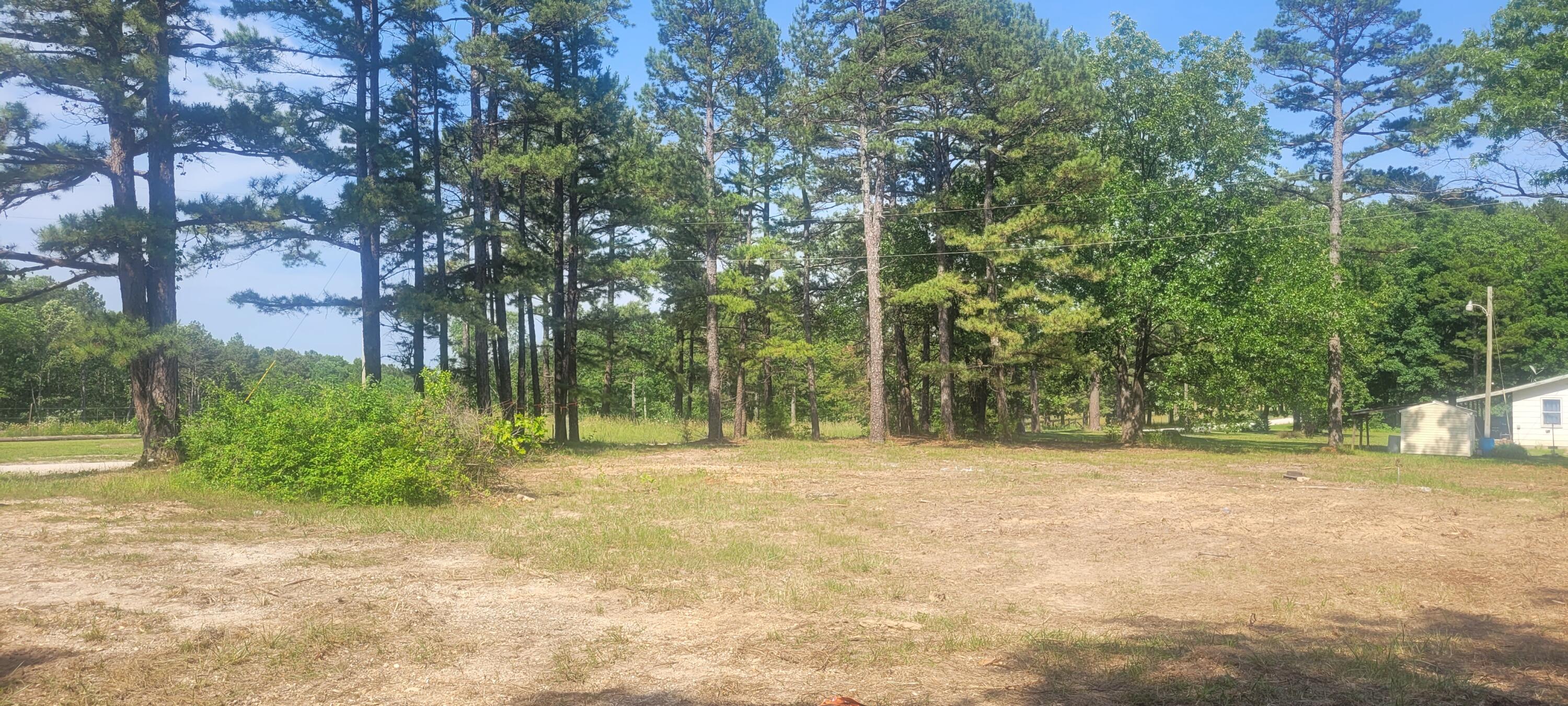 14730 Boiling Springs Road Property Photo 14