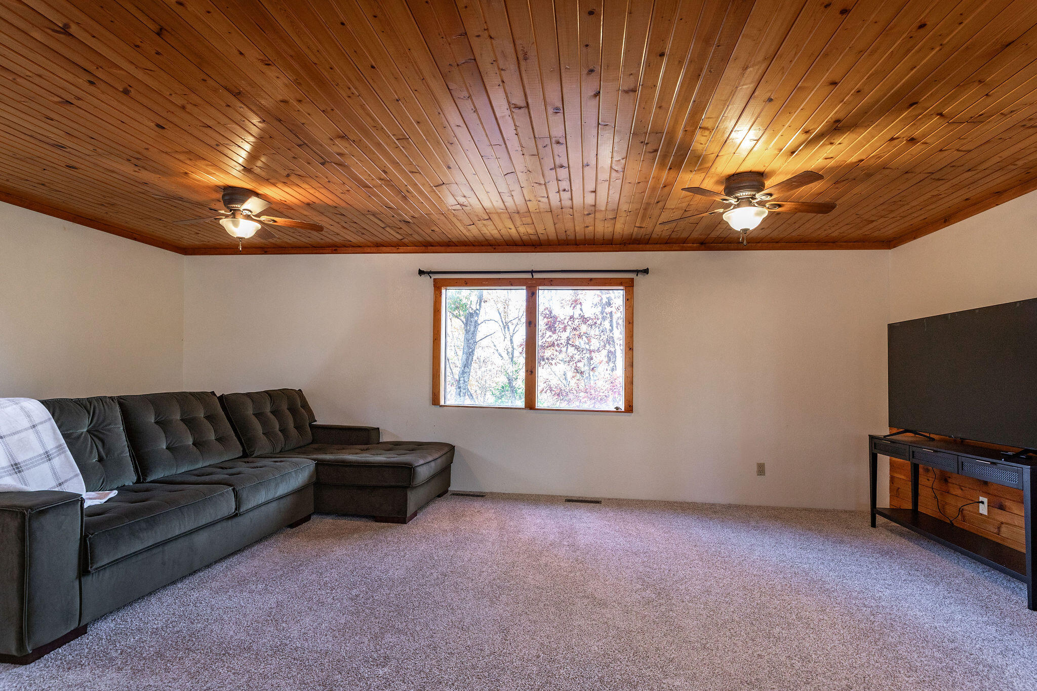 537 Watson Road Property Photo 18