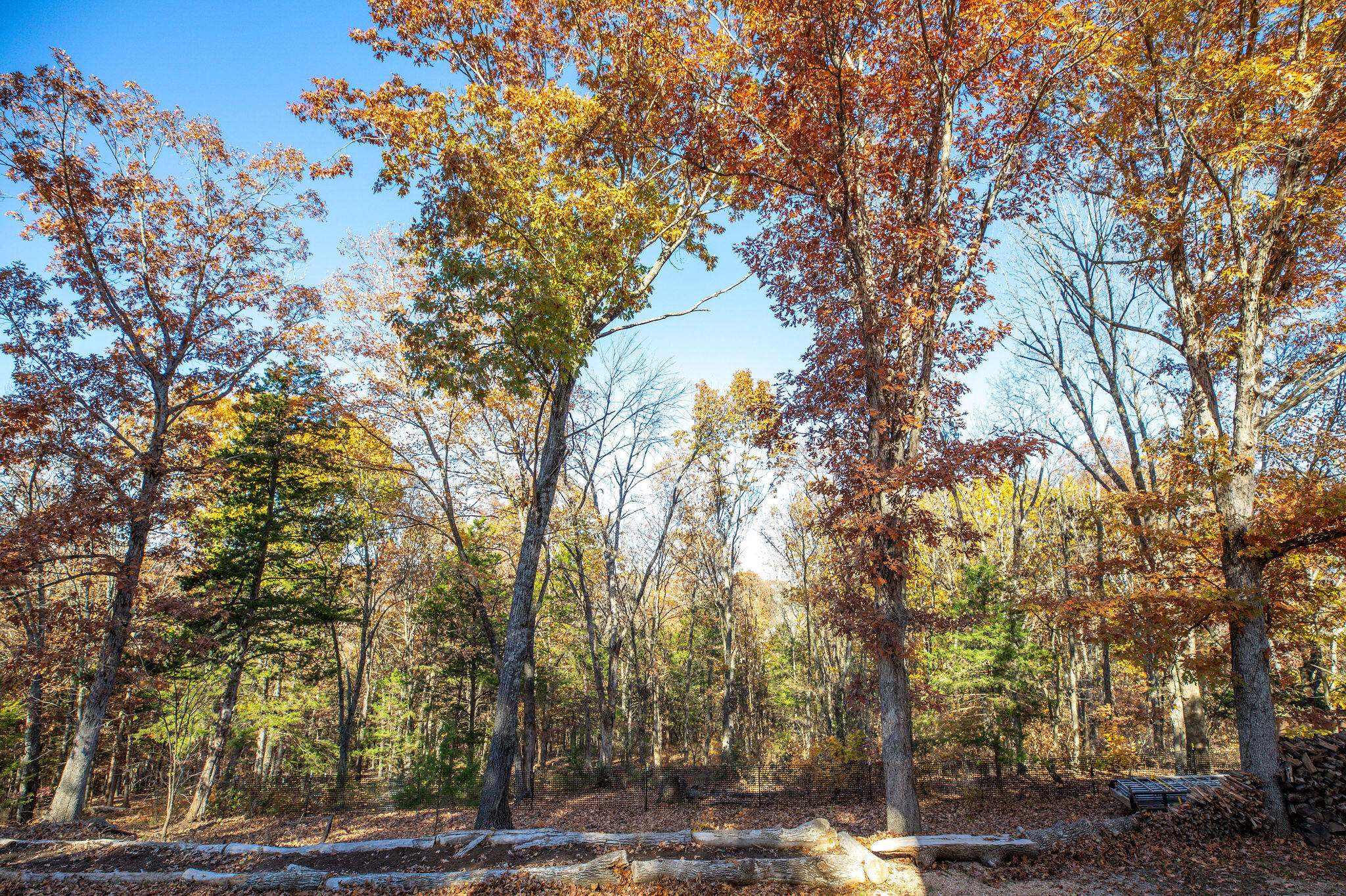 537 Watson Road Property Photo 39