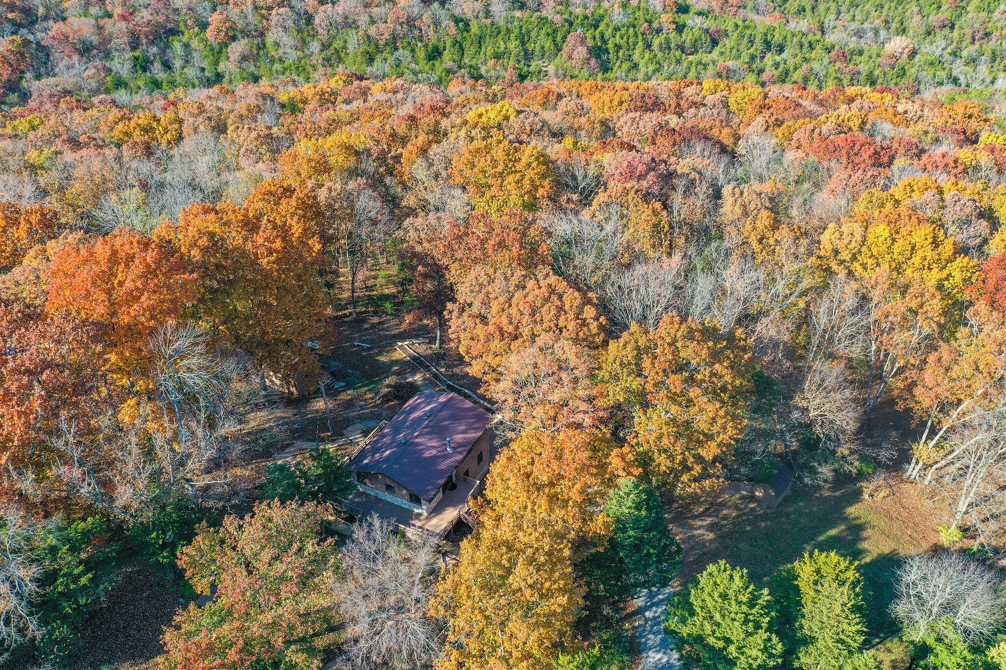 537 Watson Road Property Photo 40