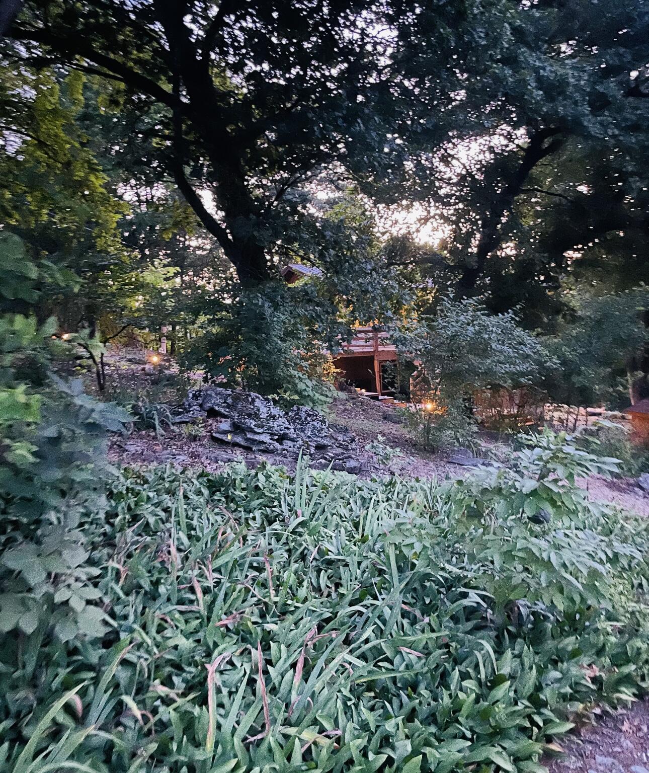 537 Watson Road Property Photo 58